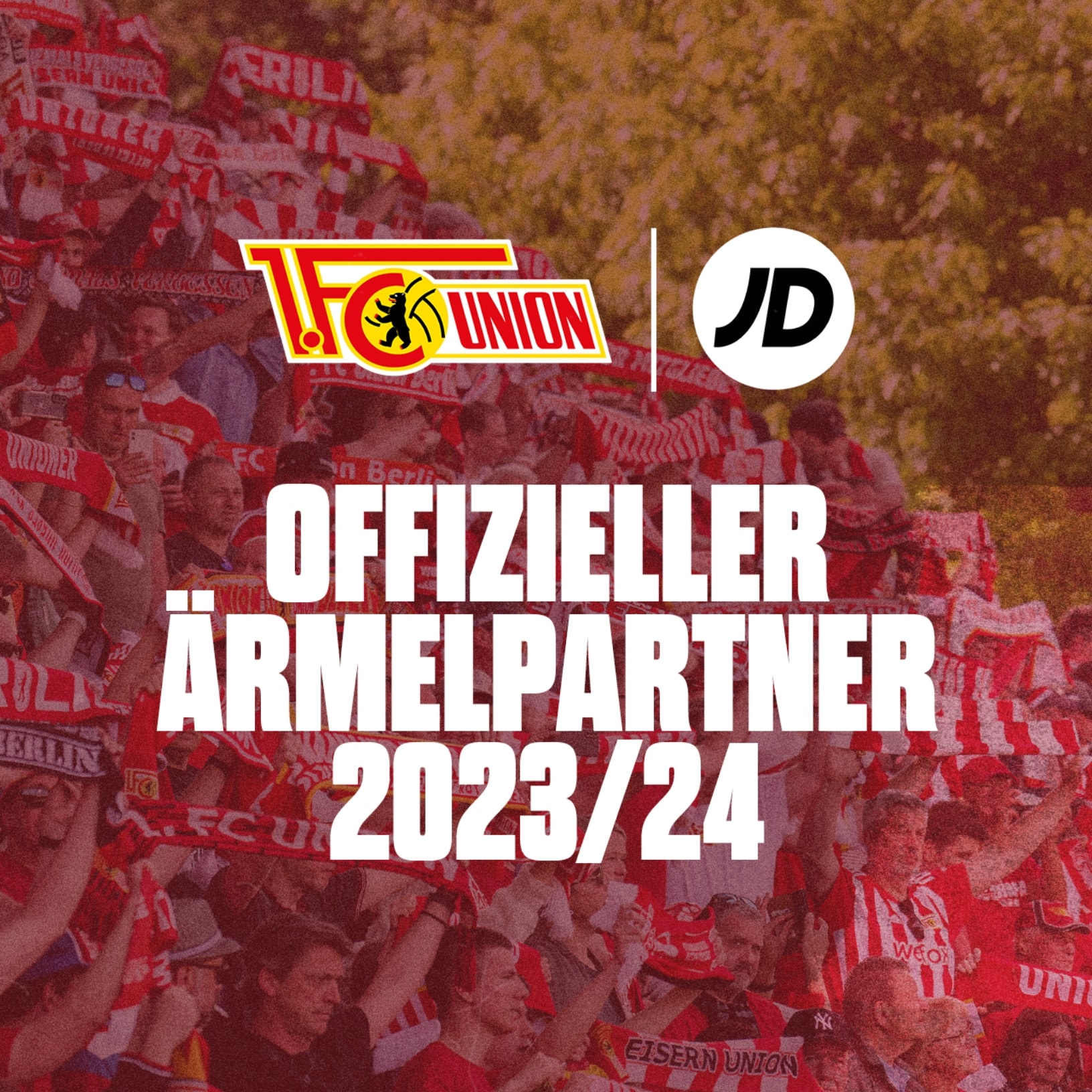 JD Blog