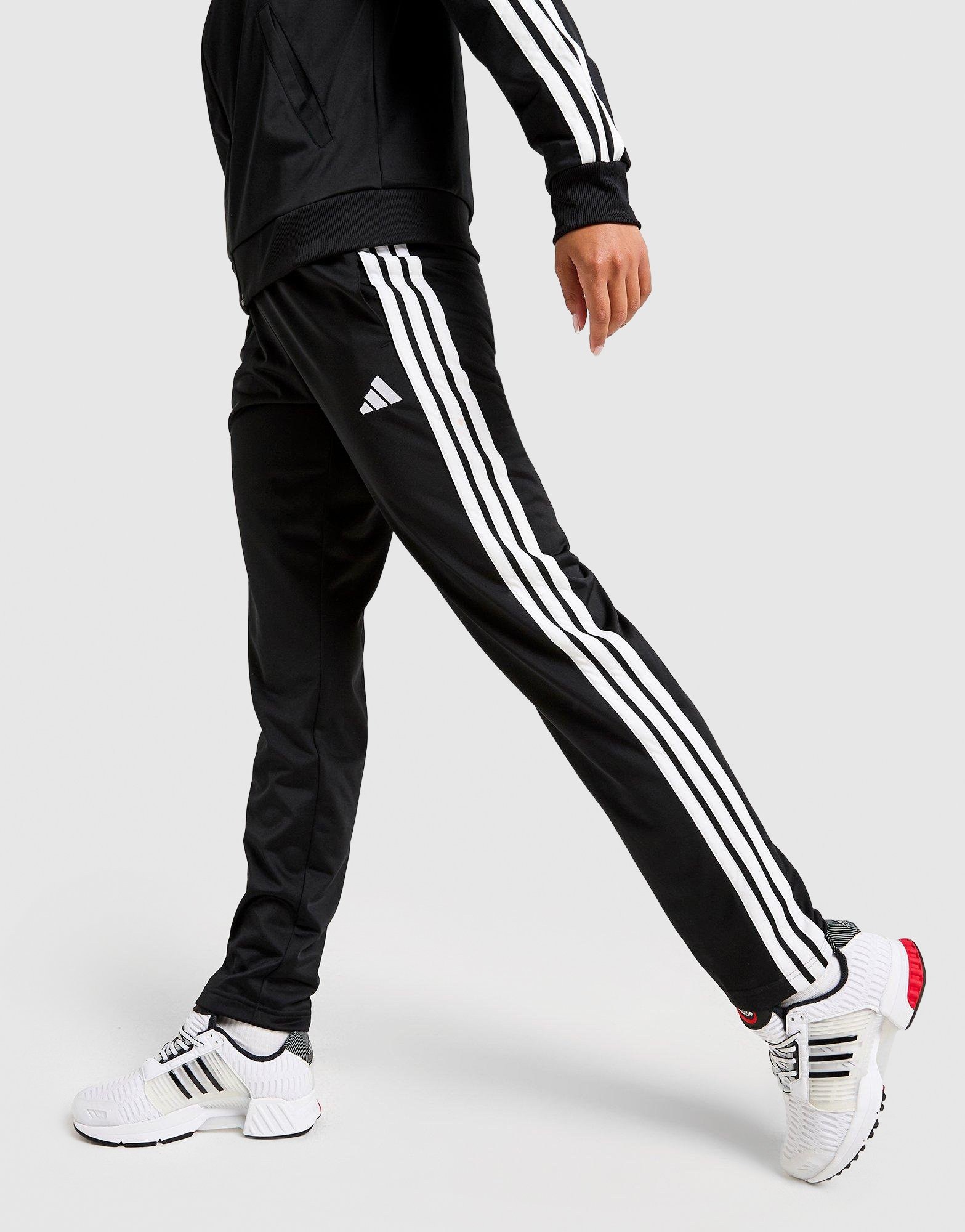 adidas Dayready Trainingsanzug