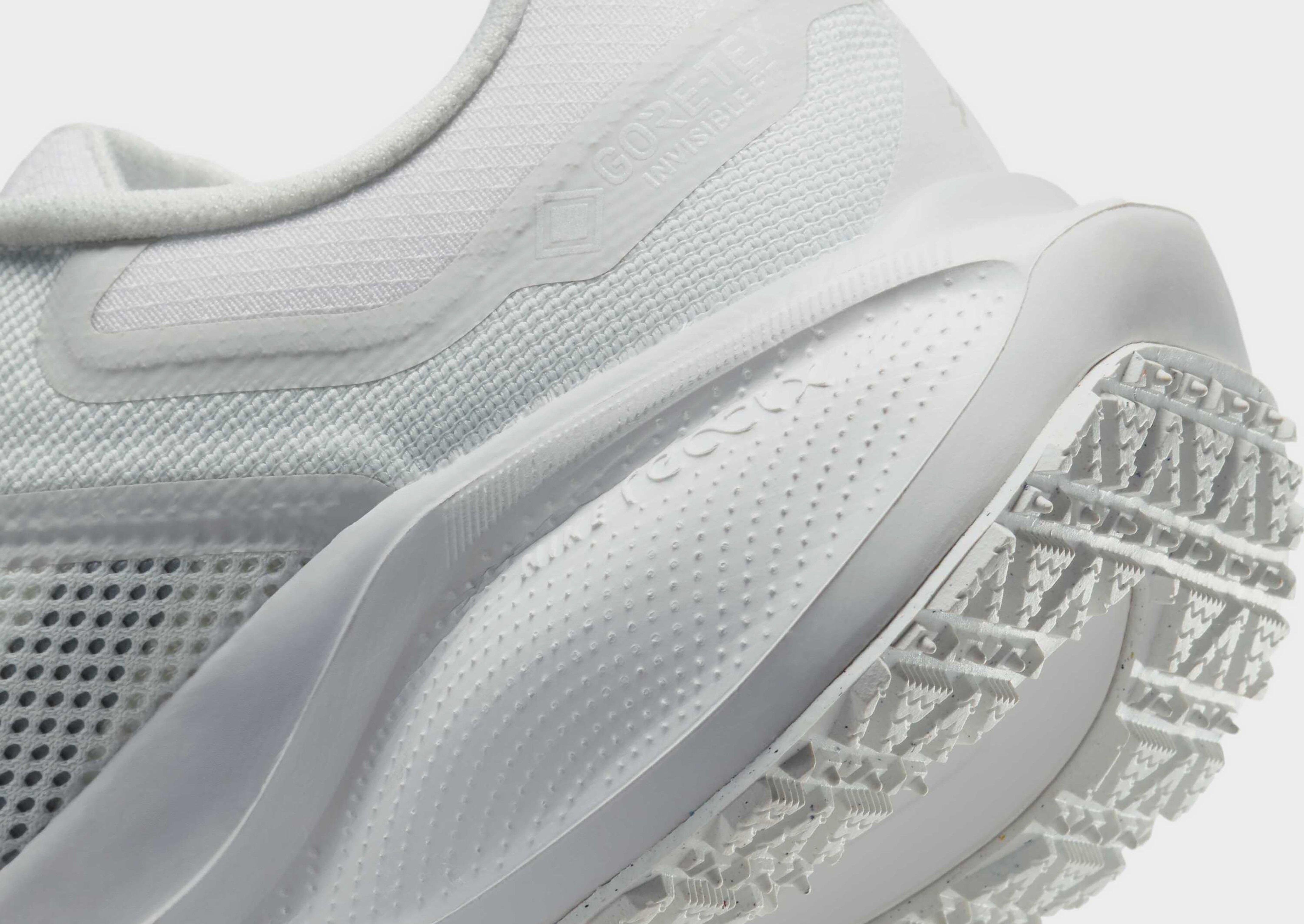 Nike Pegasus 41 GORE-TEX Women's