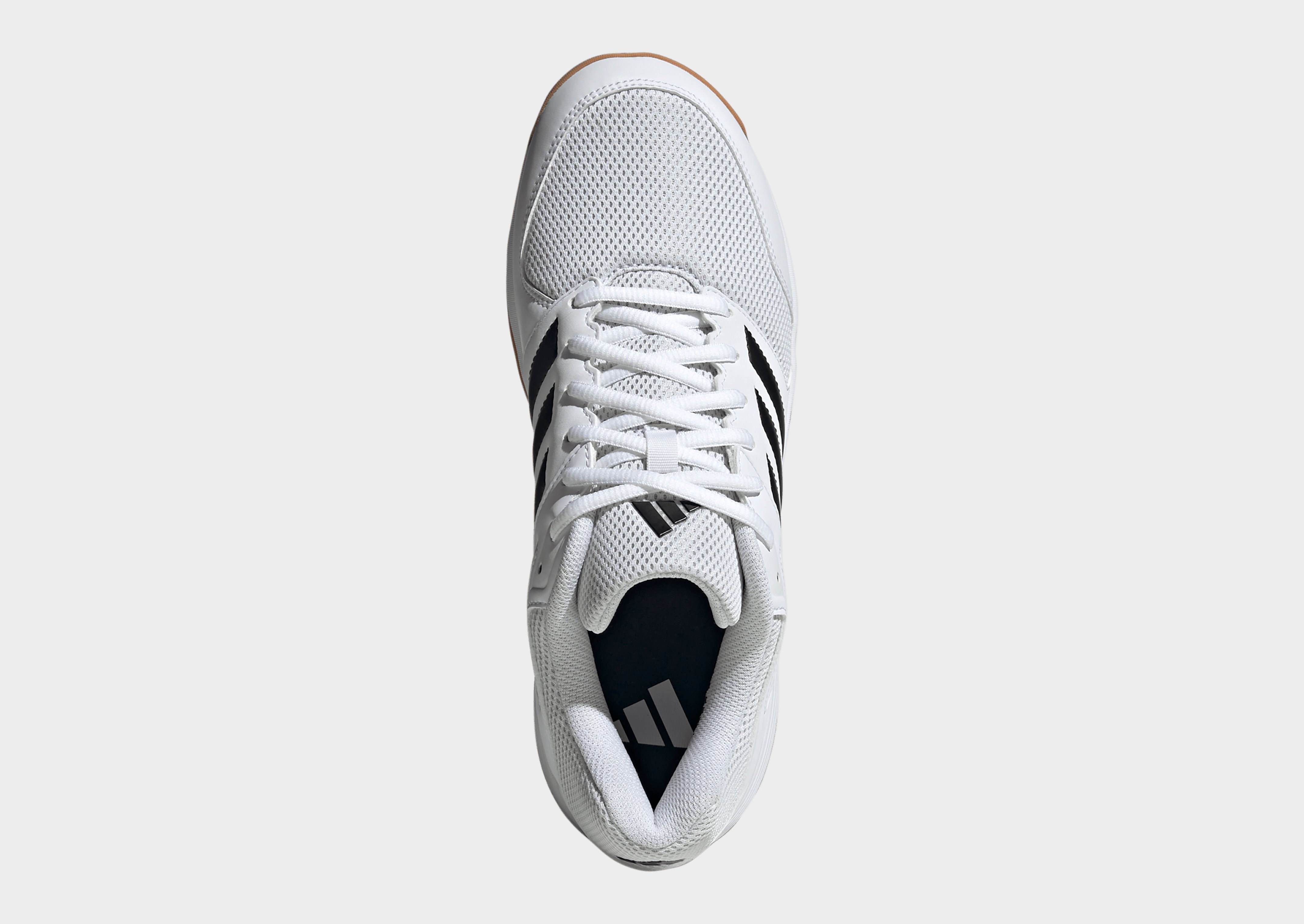 adidas Speedcourt Hallenschuhe