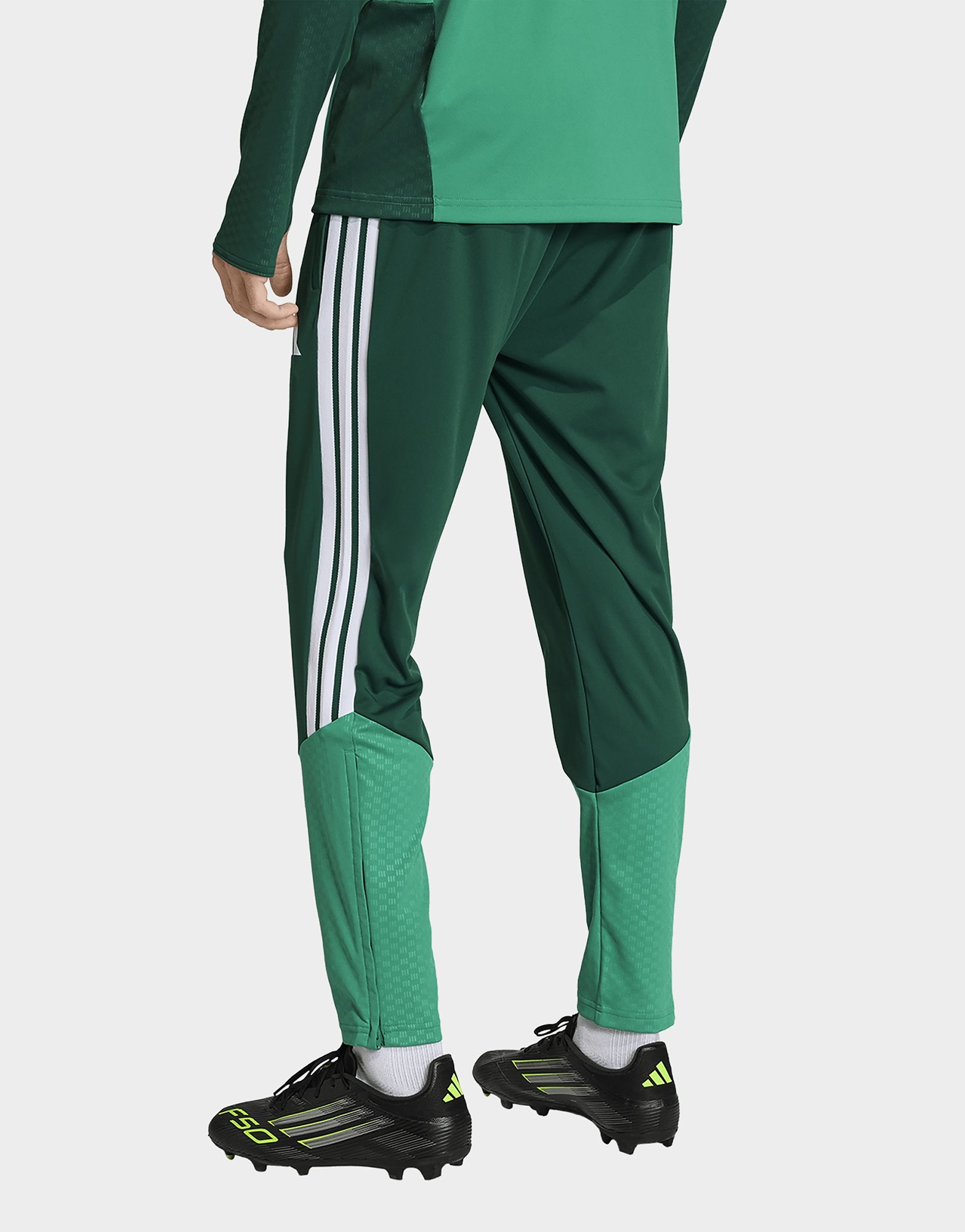 adidas Algerien 26 Trainingshose