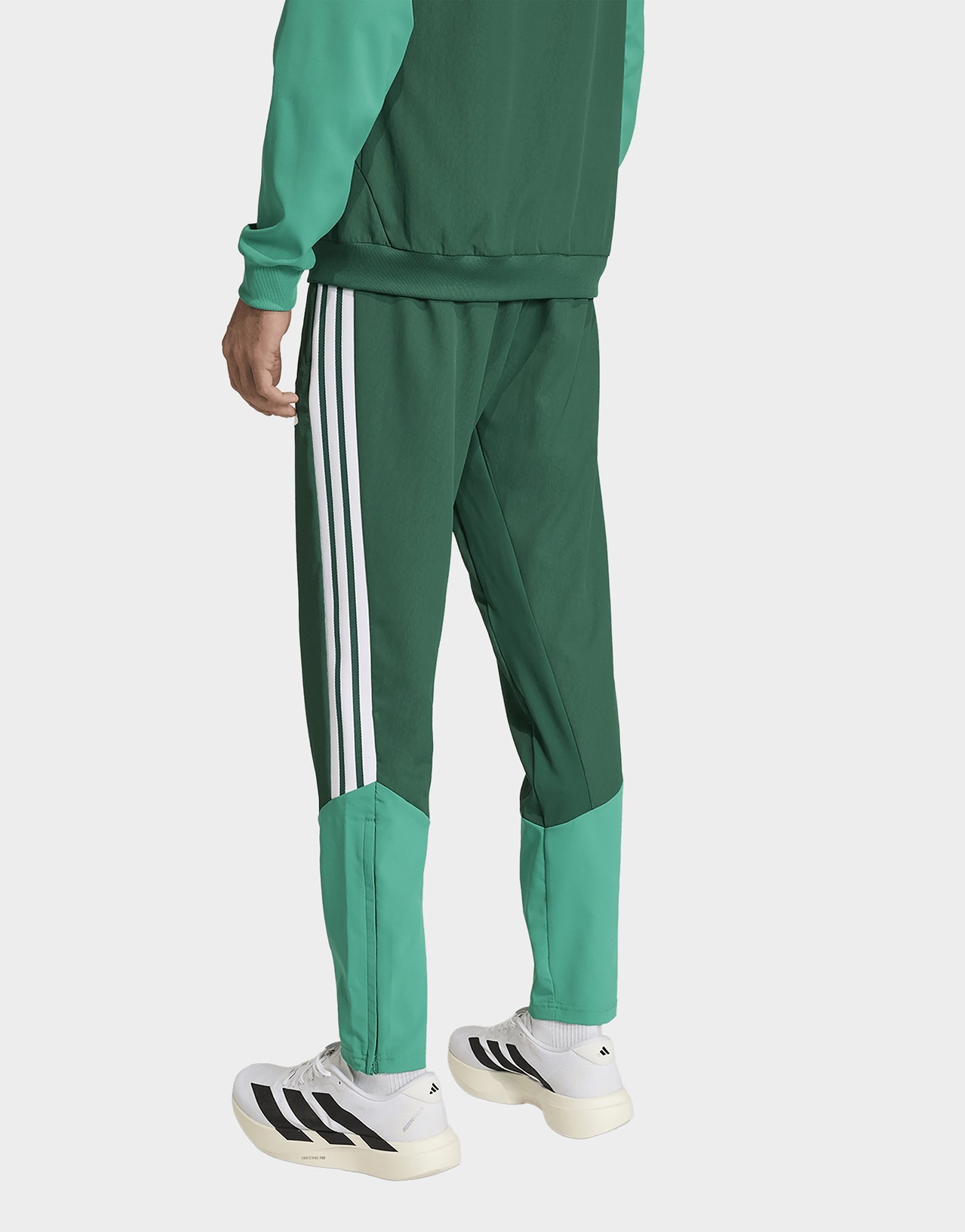adidas Algerien 26 Präsentationshose