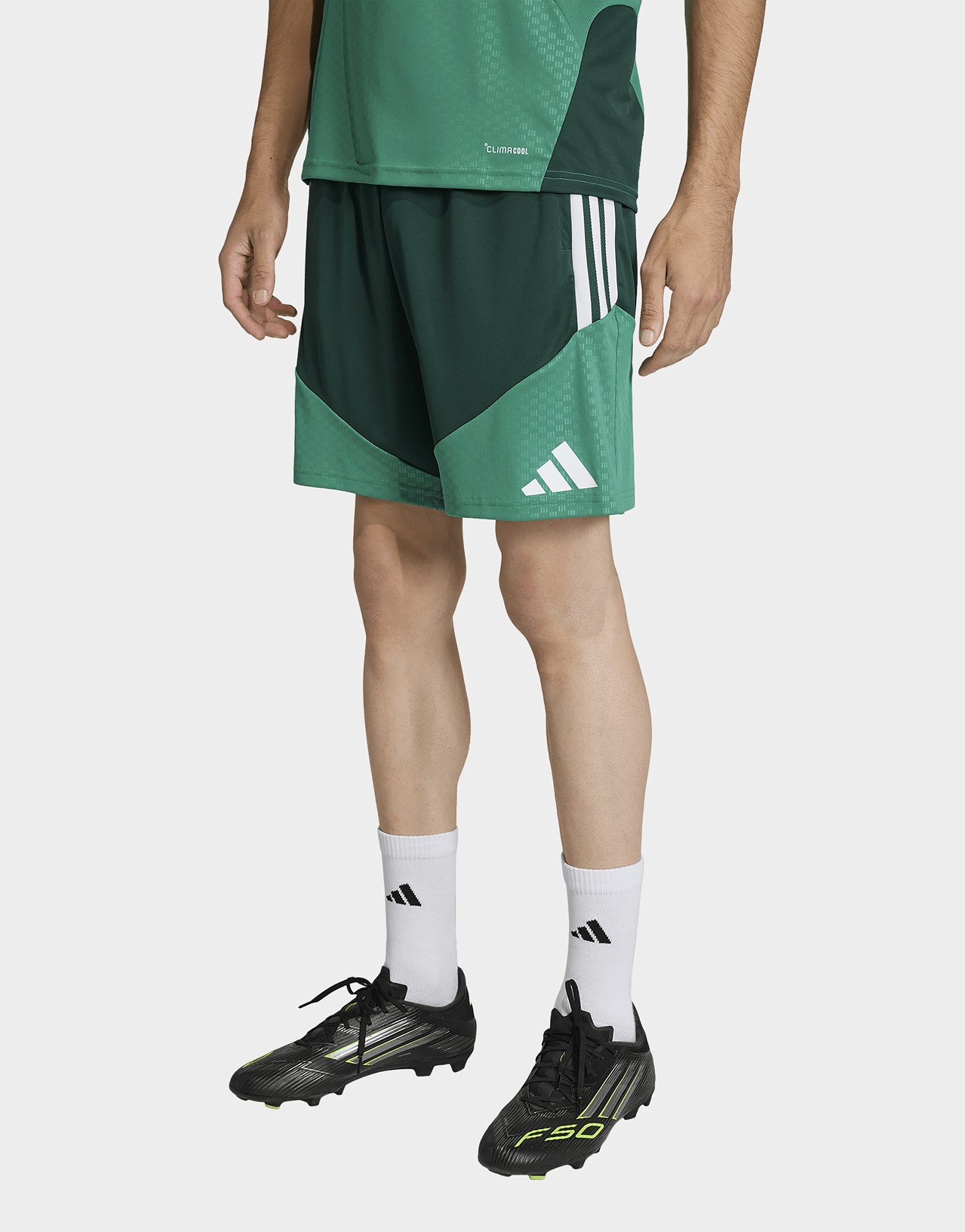 adidas Algerien 26 Trainingsshorts