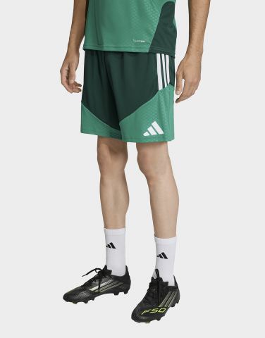 adidas Algerien 26 Trainingsshorts