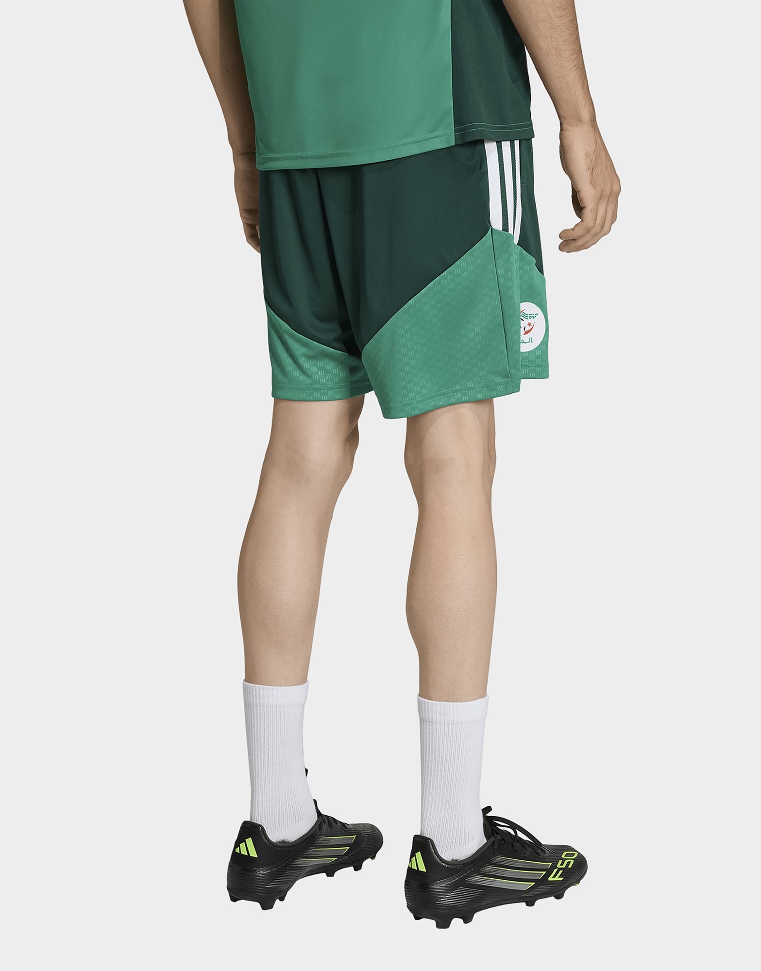adidas Algerien 26 Trainingsshorts