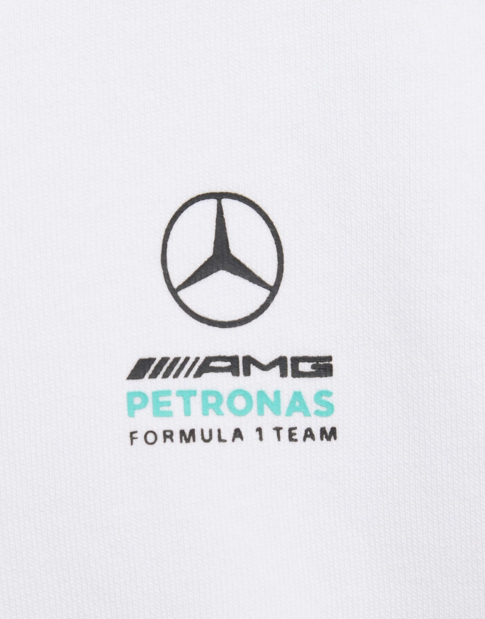 adidas Mercedes-amg Petronas Formula 1 Team Dna Kids Jogginganzug, Langärmlig