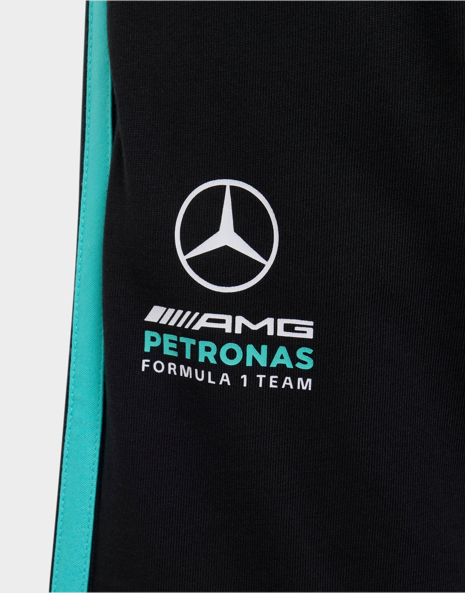 adidas Mercedes – Amg Petronas Formel 1 Team Dna Shorts
