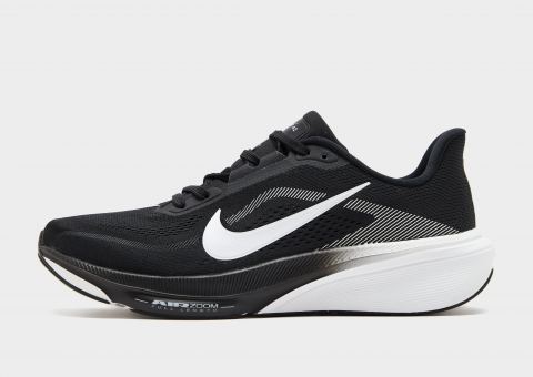 Nike Pegasus 42