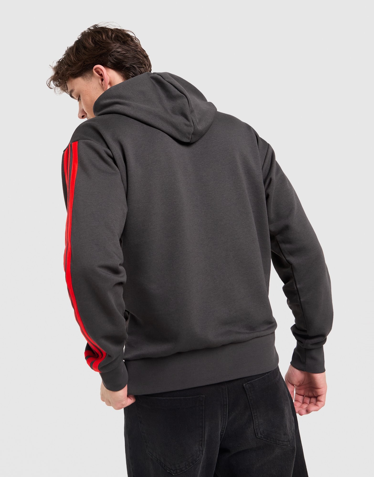 adidas Audi Revolut F1 Team Dna French Terry Hoodie