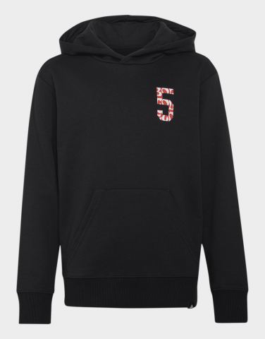 adidas AUDI REVOLUT F1 TEAM GABRIEL BORTOLETO GRAFIK II HOODIE