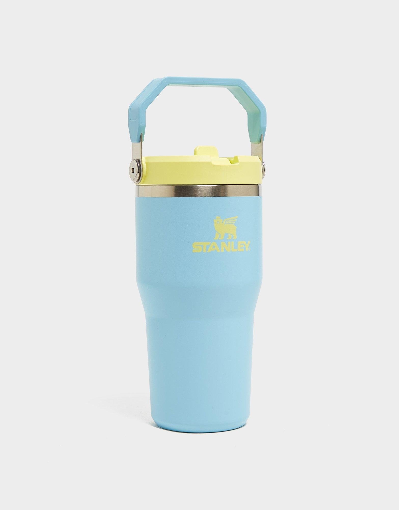 Stanley 1913 IceFlow Flip Straw 0.59L Tumbler