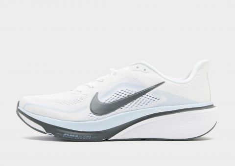 Nike Pegasus 42