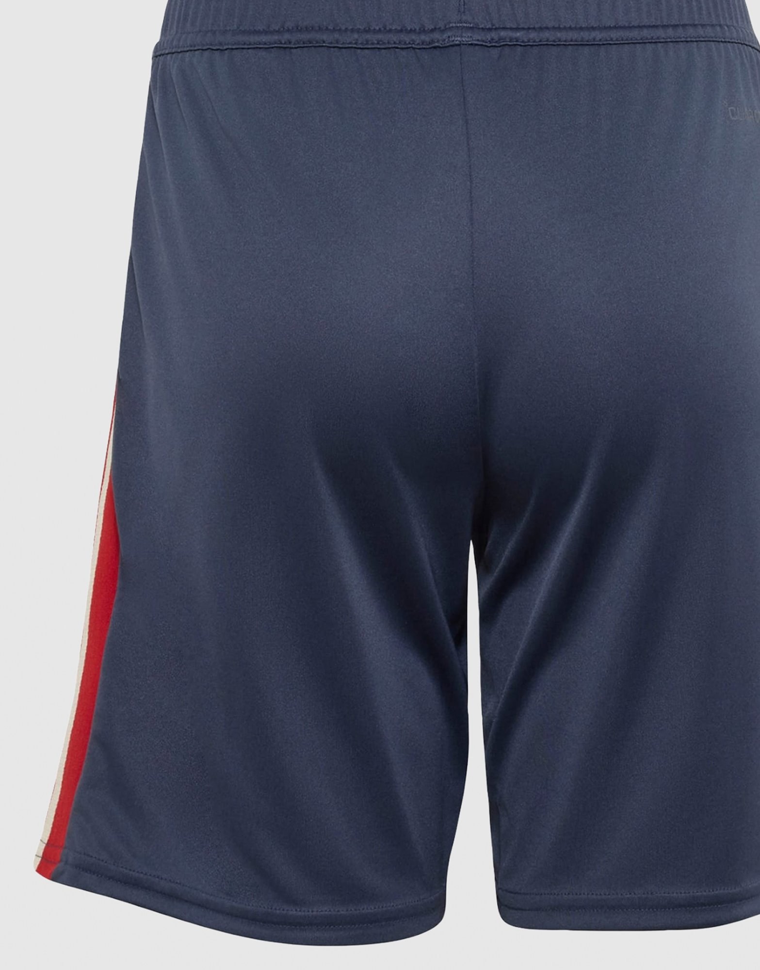 adidas France Rugby Kids Gym-shorts
