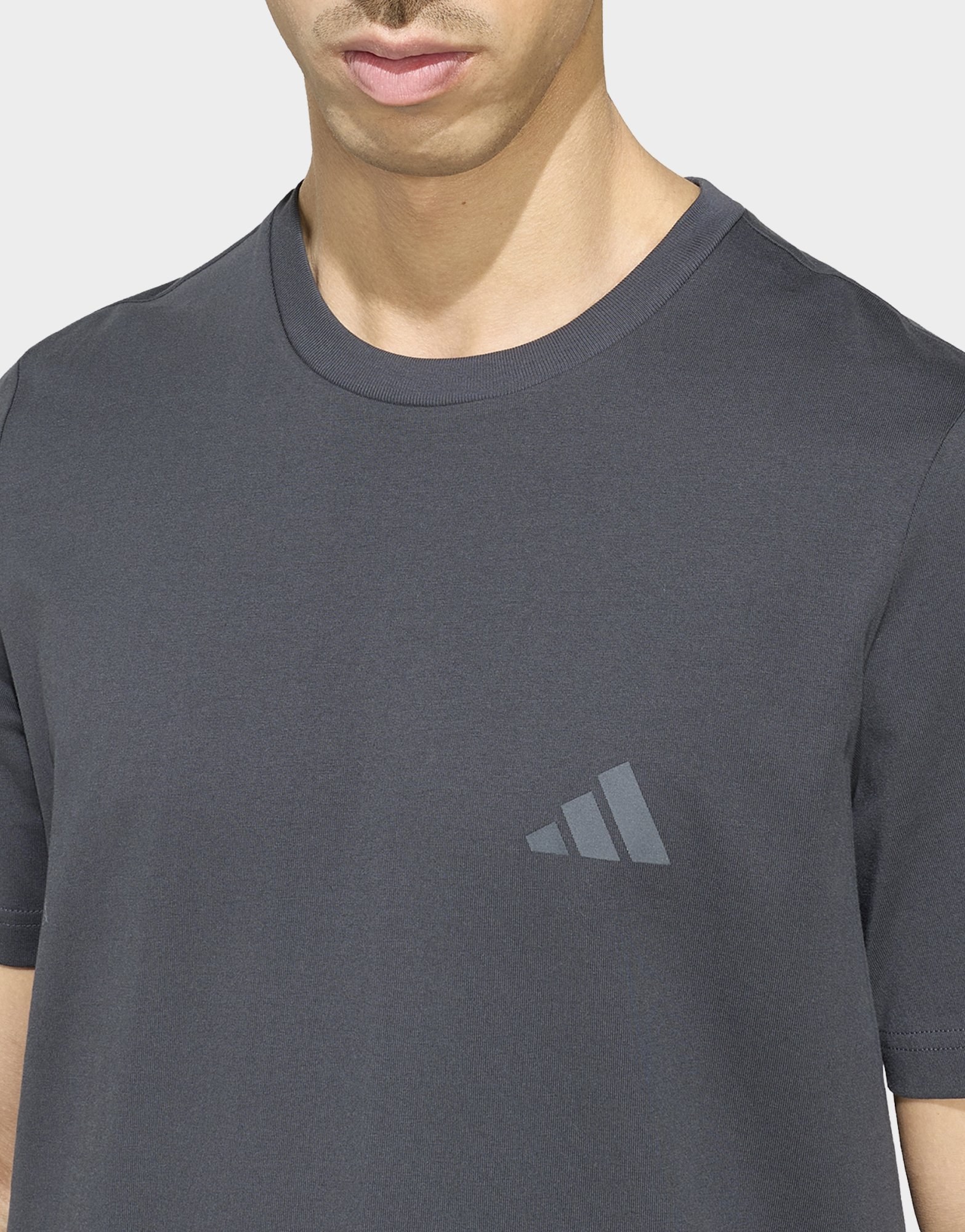 adidas Terrex Mountain T-shirt Mit Grafik