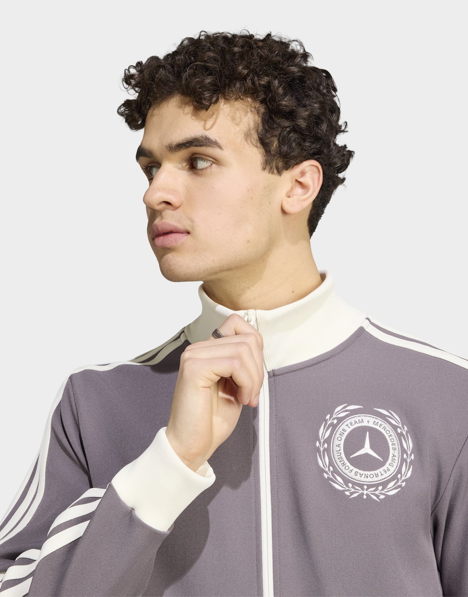 adidas Mercedes - Amg Petronas Formula 1 Team Silver Arrows Icon Men Trainingsjacke