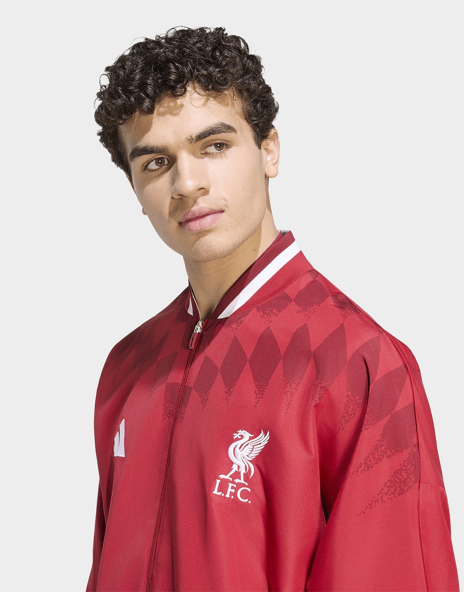 adidas Fc Liverpool Stadium Trainingsjacke