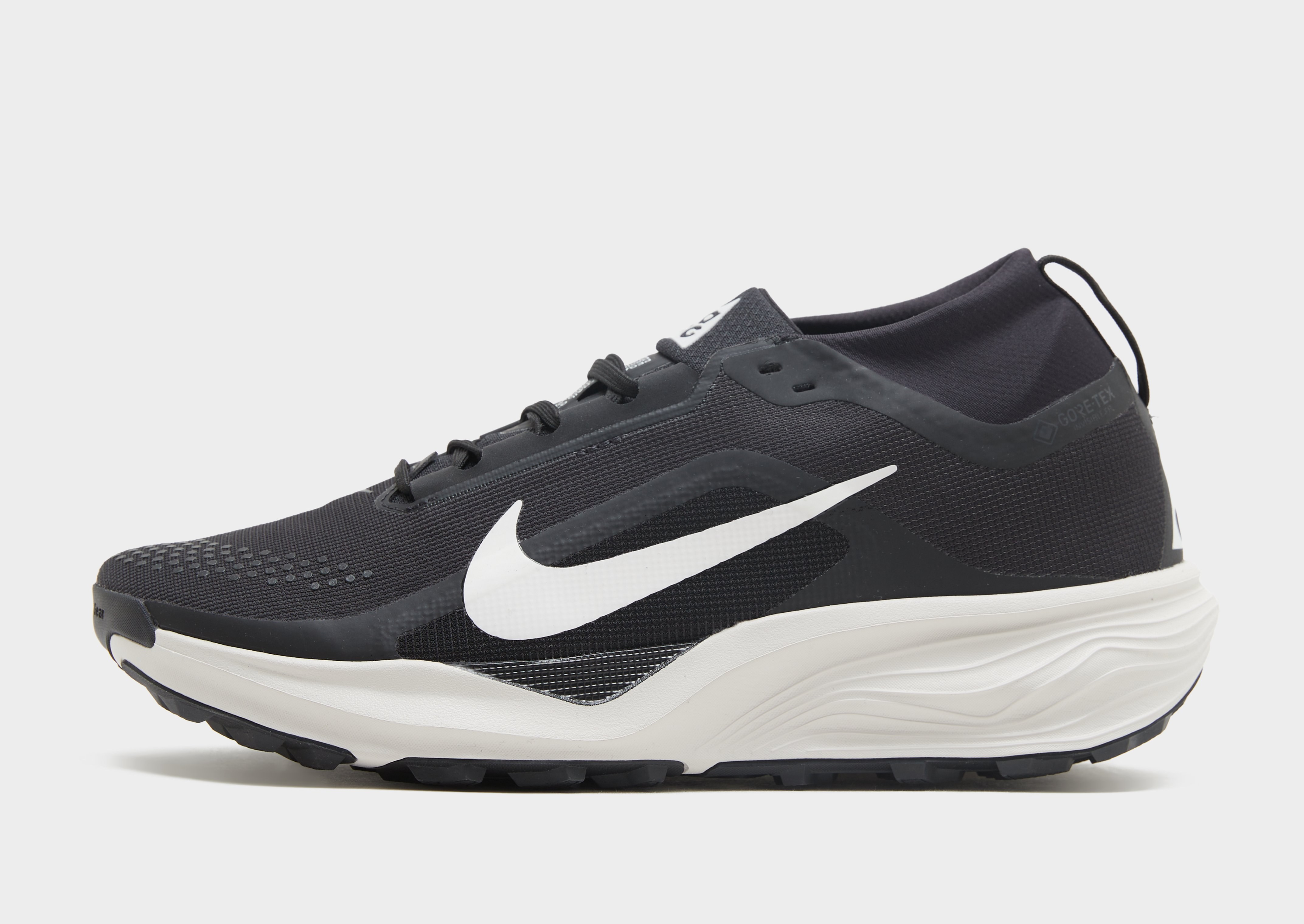 Nike Pegasus Trail 4 GORE-TEX Herren