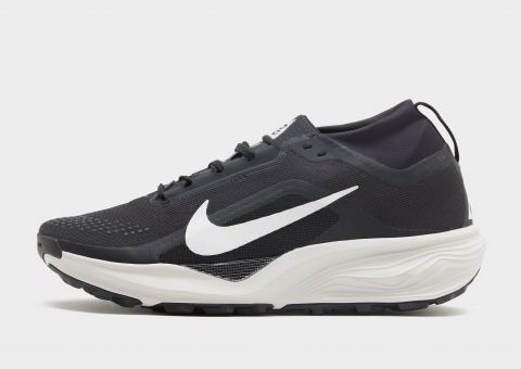 Nike Pegasus Trail 4 GORE-TEX Herren