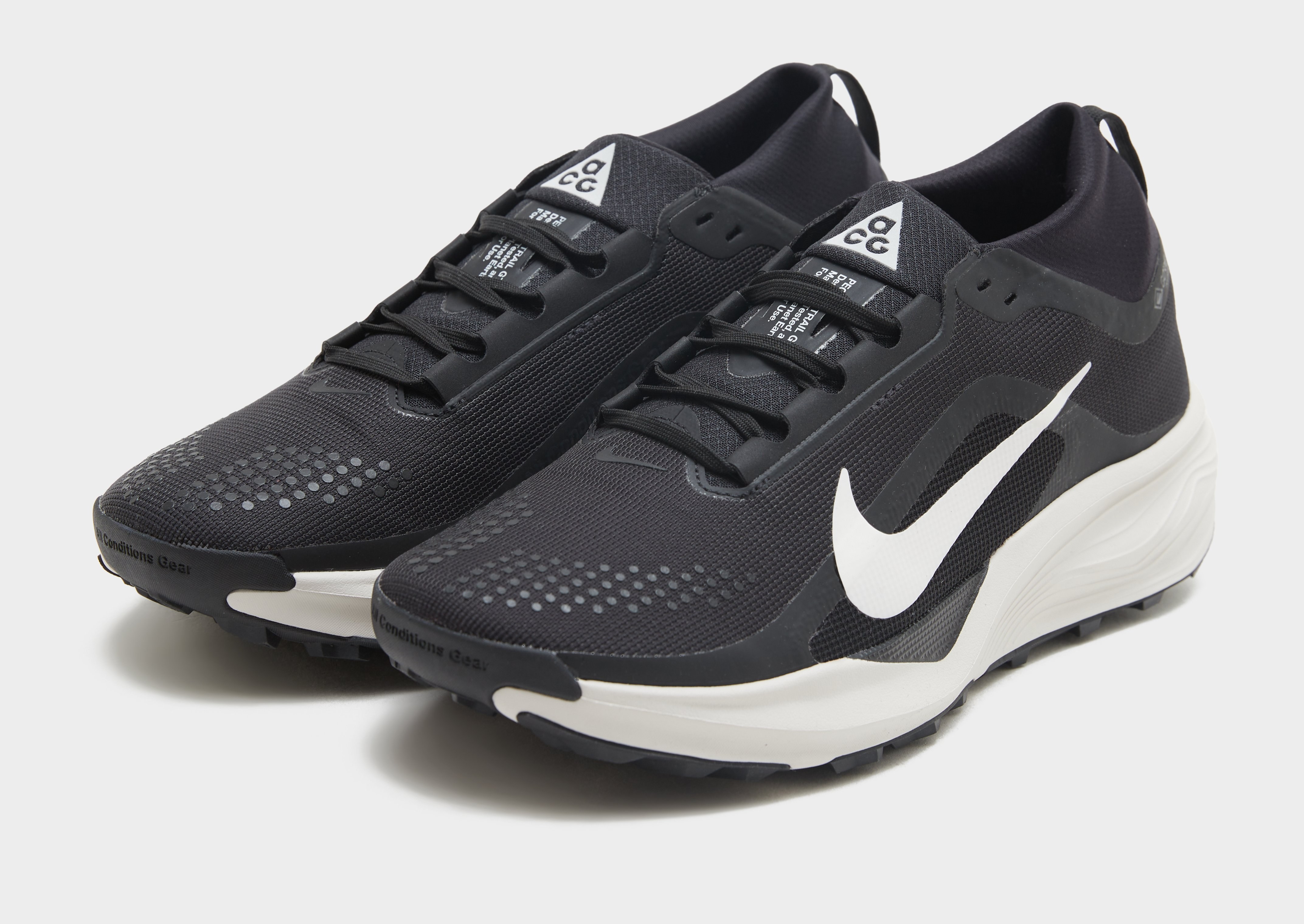 Nike Pegasus Trail 4 GORE-TEX Herren