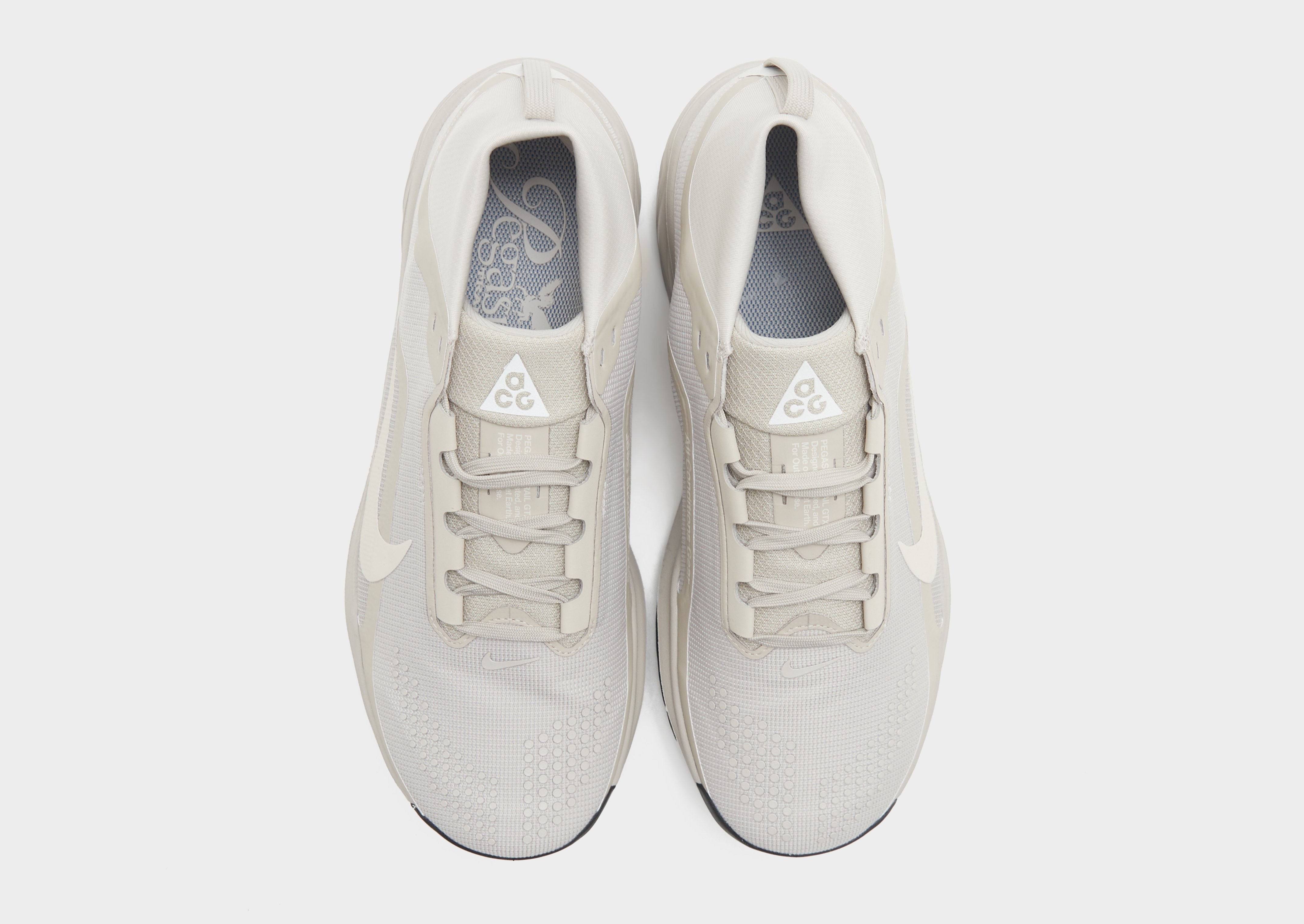 Nike Pegasus Trail 4 GORE-TEX Herren